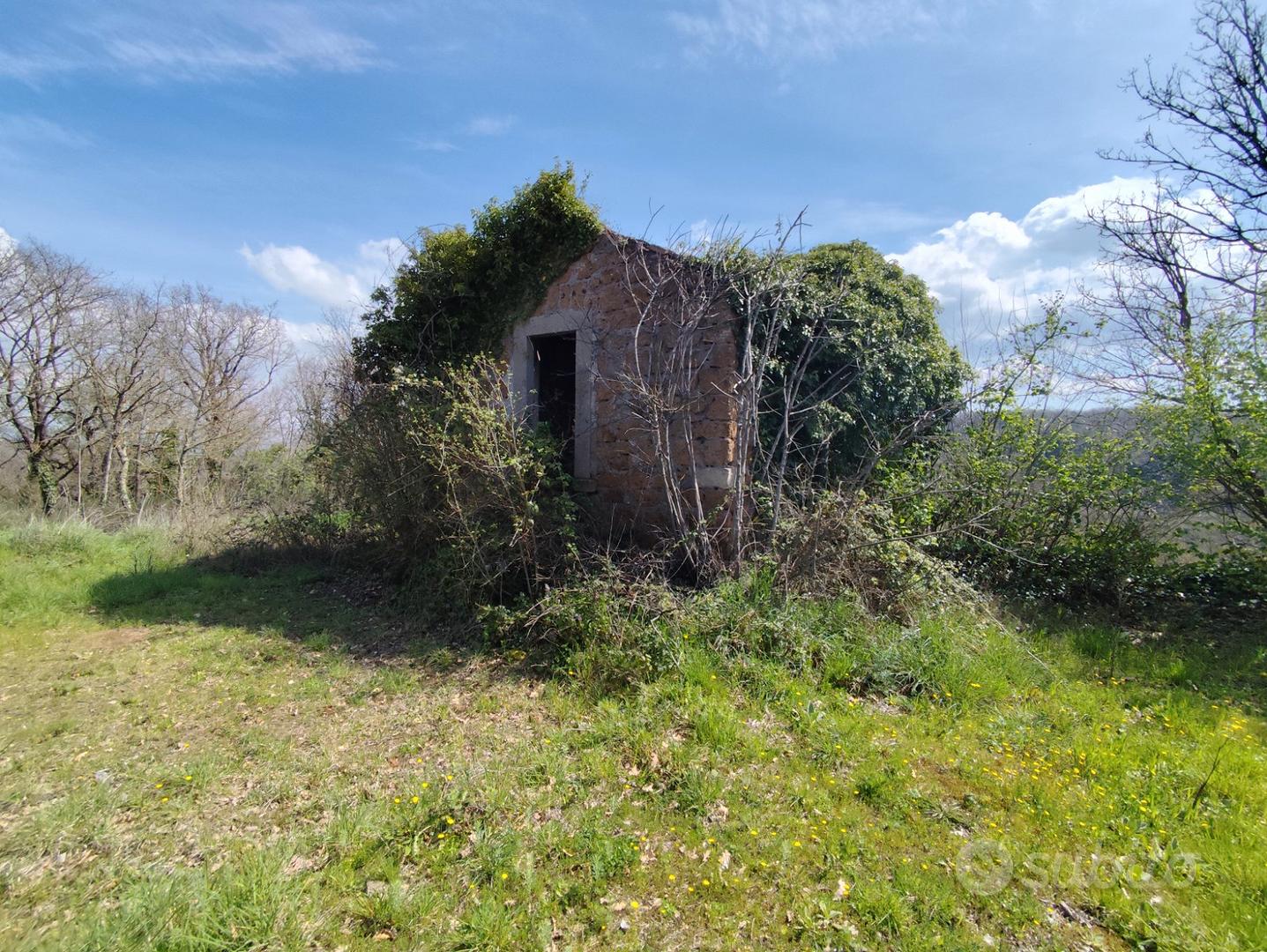 Vitorchiano terreno con casale - Vista 2