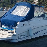 Chaparral 240