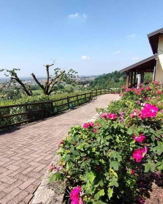 Immobile di 32168 m² con 5 locali a Castelli Calep