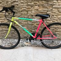 Bicicletta Mountain bike