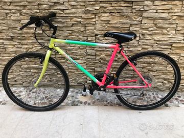 Bicicletta Mountain bike