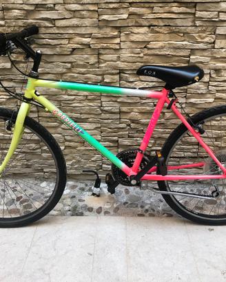 Bicicletta Mountain bike