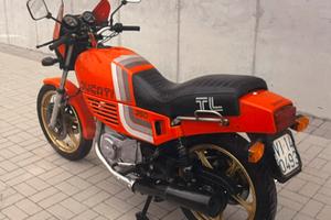 Ducati Pantah350TL  1984- ASI - 1 di 275 Prodotte
