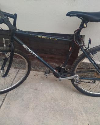bicicletta uomo scott