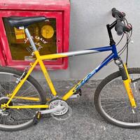 Bicicletta MTB  Ghiaroni sport