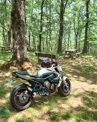 Yamaha XJ6 depotenziata (A2 - 32000KM - ANNO 2015)