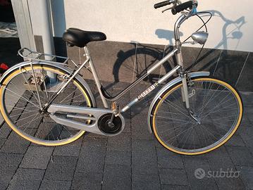 Bici olandese 