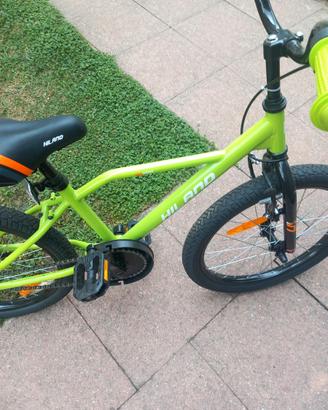 Bicicletta