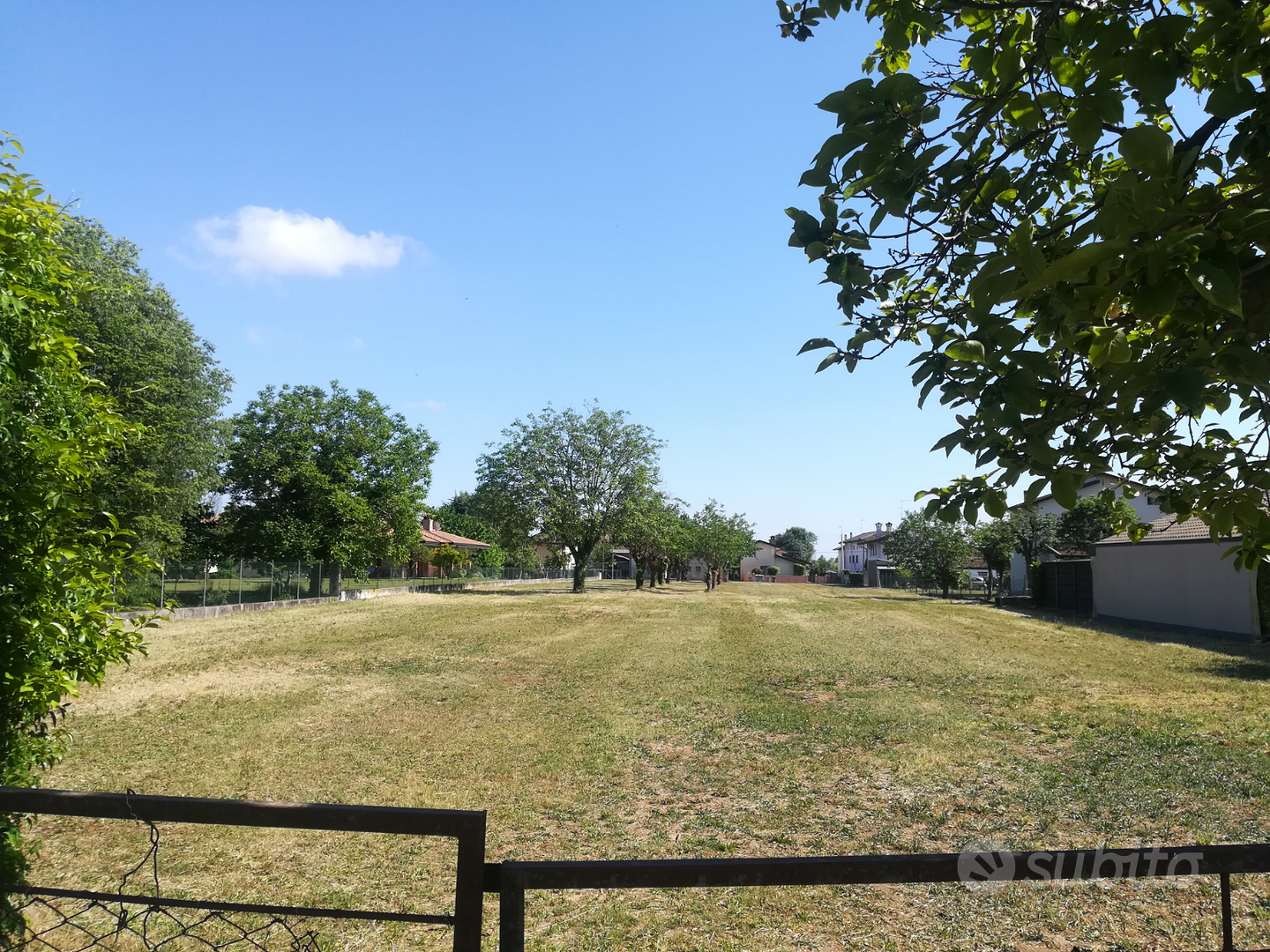 Terreno edificabile e agricolo - Vista 5