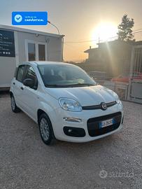 FIAT FIAT PANDA 1.2cc 69cc S&S