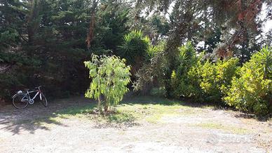 SUL MARE Villino 4/5Posti con ampio giardino