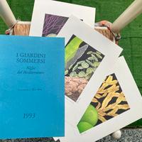 FRANCO TESTA 1993 Tavole vintage NO schifano