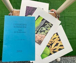 FRANCO TESTA 1993 Tavole vintage NO schifano