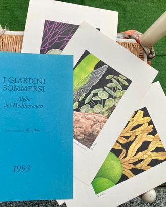 FRANCO TESTA 1993 Tavole vintage NO schifano