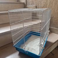 gabbia per uccellini