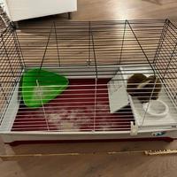 gabbia piccoli roditori