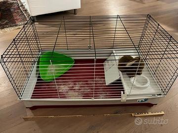 gabbia piccoli roditori