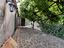Immagine 19