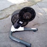 Rulli ciclomulino Greg Le Mond