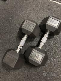 Manubri 14 kg