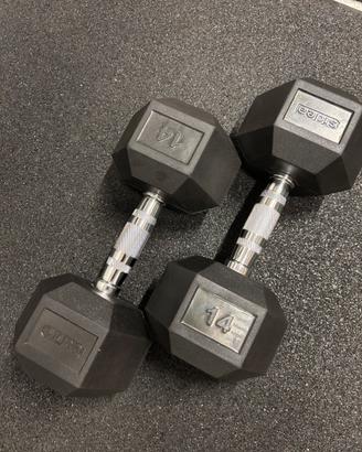 Manubri 14 kg