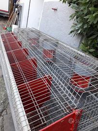 Gabbie per conigli riproduttori 6 cesti