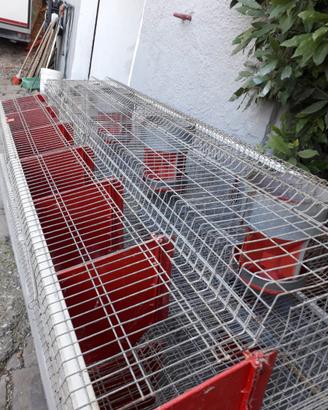 Gabbie per conigli riproduttori 6 cesti