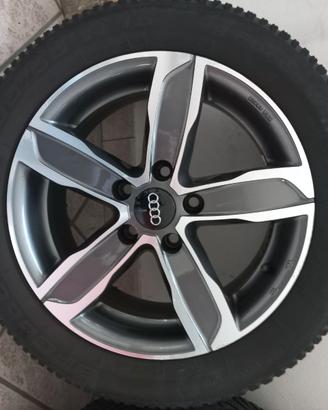 Accessori Auto