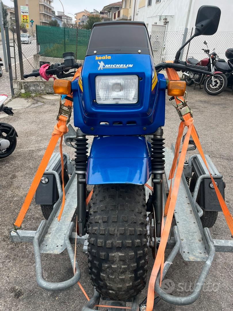 Fantic Motor Koala Moto e Scooter In vendita a Chieti