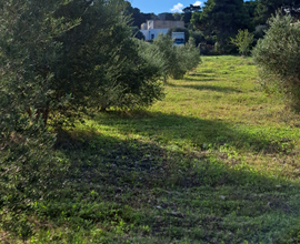 Terreno agricolo