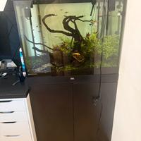 acquari lido 200 e accessori acquari