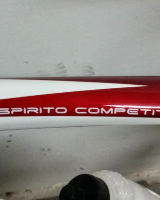 Stato: Come Nuova!  Bottecchia in carbonio.