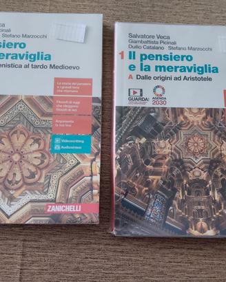 il pensiero e la meraviglia 1