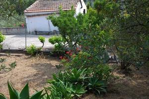 Vendita rustico con terreno