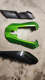 Carene Kawasaki Z1000