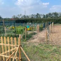 Terreno per orto a Lissone