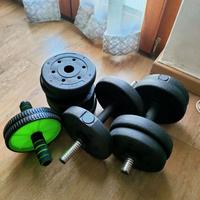 manubri palestra 10,5 kg