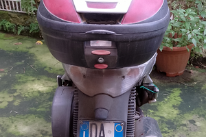 Malaguti password 250