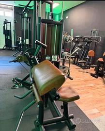 Biceps/Triceps Machine Visa Sport linea Next Line