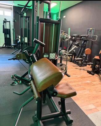 Biceps/Triceps Machine Visa Sport linea Next Line