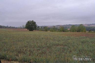 Immobile in asta di 64380 m² a Alessandria