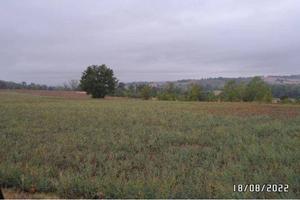 Immobile in asta di 64380 m² a Alessandria