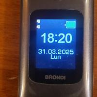 brondi amico grande 2