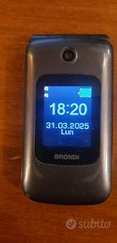 brondi amico grande 2