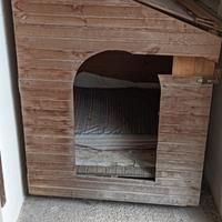 cuccia cane