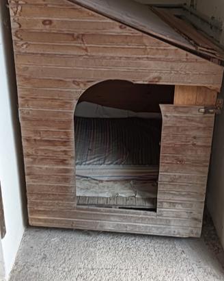 cuccia cane
