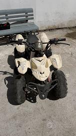 MiniQuad 110cc