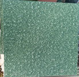 Rivestimento e pavimento per esterno