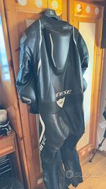 tutta dainese