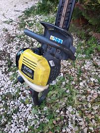 Tagliasiepi RYOBI LT2